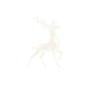 Creek & Hollow Stag